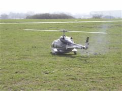PICT1559.JPG